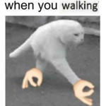 When Yu Walking