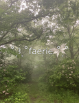 ୧ faerie