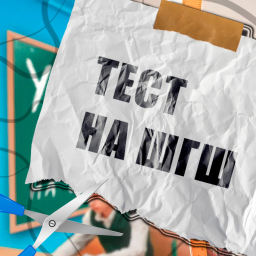 Тест на шгш [🎥]