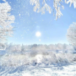 ·SnowPetal·