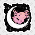 Axolotl god group