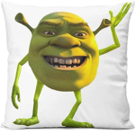 Meme campaign