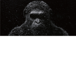 [ APES UNITED ]