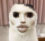 Str4wB_rry C_w