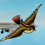 Traditional Airways