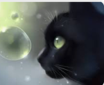 EVERYONE LOVES CATS YAYYYYYYYYYY