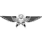 PA | Polícia da Aeronáutica