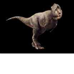 Jurrasic Time Studios