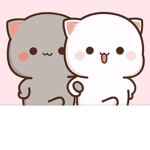 Cats-catty