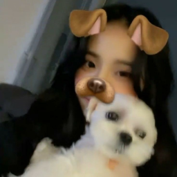 🐶