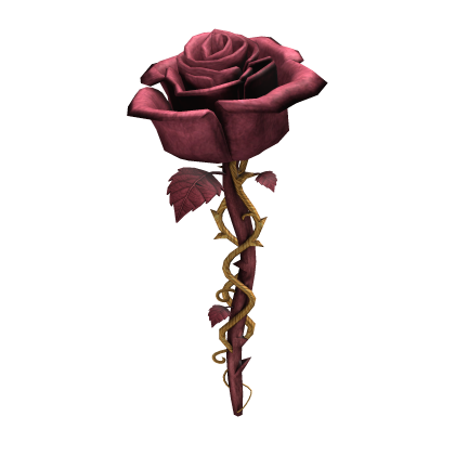 Pink & Gold Rose
