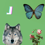 wolfotoko