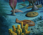 ediacaran fauna