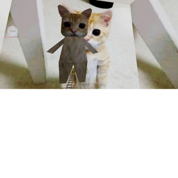 Cart ride into elgato :D (by ash or whatever)