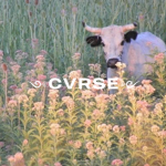 cvrse