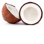Coconut Homestore