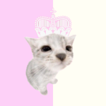 crown of minoa