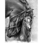 *+. Sprit Horse Riding Academy .+*