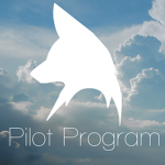 Anesi Airlines Pilot Program