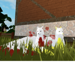Kit sum e Kingdom