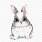 bunny #######