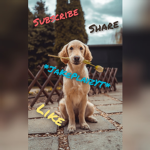 •JaKe•