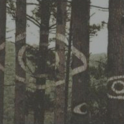 𝟗𝟗