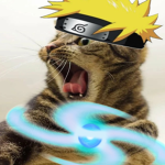 qpmzalqp Roblox