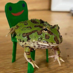 PPablo