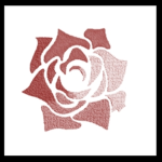Rose Club [KG]