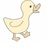 Duck team!!!!!!!!!!!!!!!!!