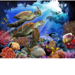 Help and save the ocean for the world