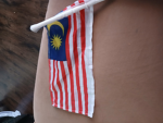 Royal Malaysian forces