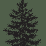 Spruce Apparel