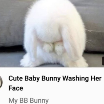Bunny's Place