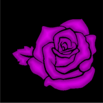 Midnight Rose Racing
