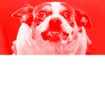 Dogs army group