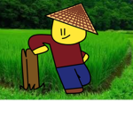 welcome to the rice feilds