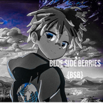 BLUE SIDE BARRIES {BSB}