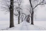 Sno!