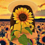Sunflowers | community server