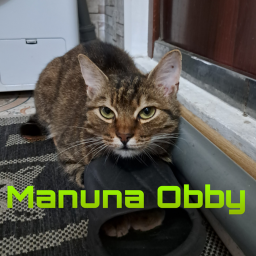 Manuna Parkour 🐱