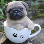 Pugs clothing team :p