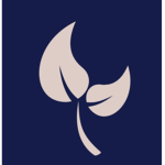 BluRock Games
