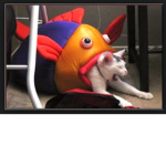 lolxdlmao