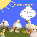 Star Duckz