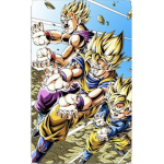 dragon ball pro's