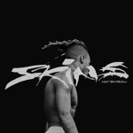 TheSwagGanggg
