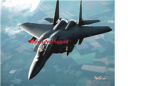 Ronin Air Squad