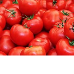 TMA | tomato Army